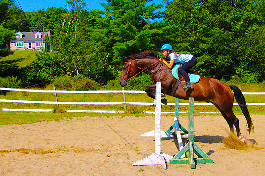 Horse Riding Instructor
 - You’ll spend your summer teaching kids to ride, caring for horses, and managing a small stable – all in the beautiful outdoors.